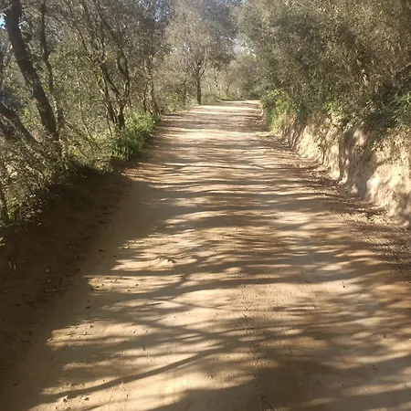 Apartmán Apartamento Tranquilo, Acogedor Sant Cebrià de Vallalta